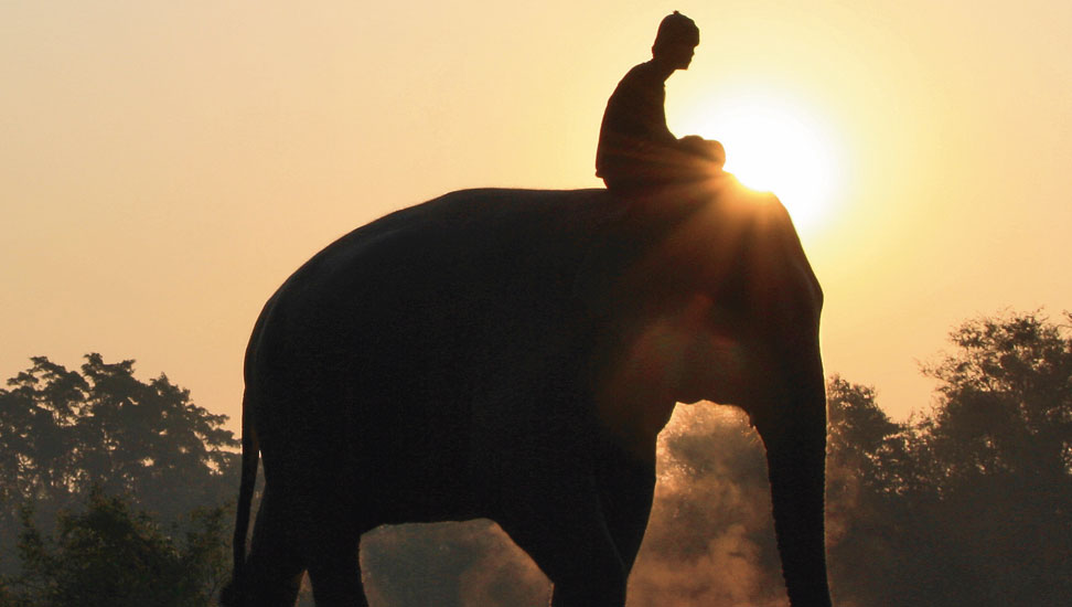 auf-dem-pfad-der-königstreuen-972×550