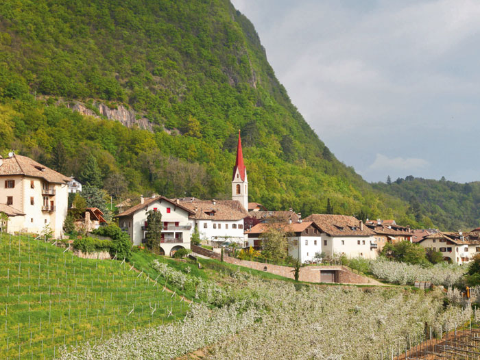 wein-suedtirol-700×526