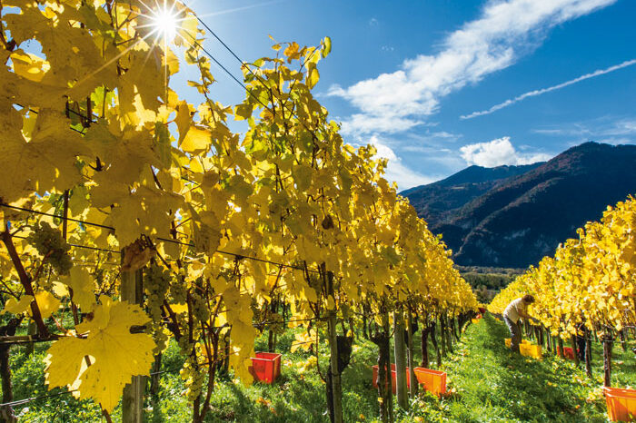 Bündner Herrschaft ©Martin Donatsch