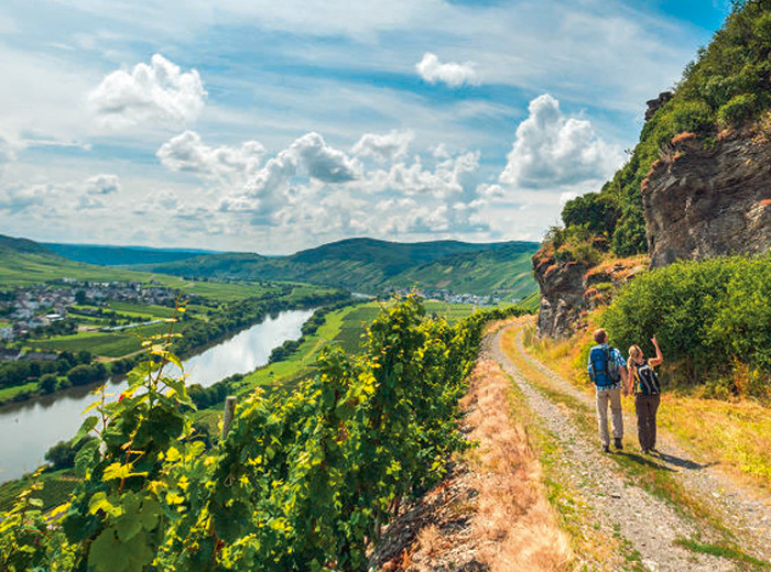 deutschland-wein-700×520