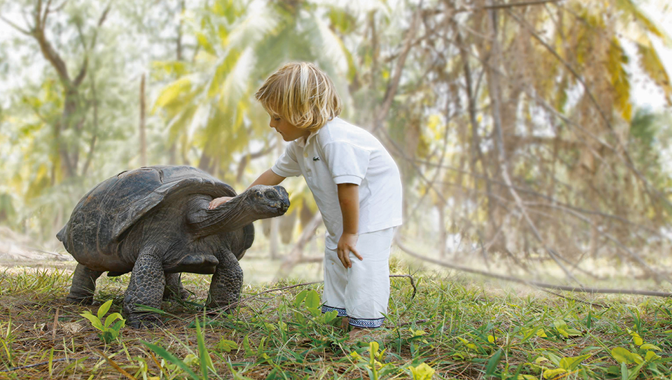 Desroches-Schildkröte-Junge-972×550