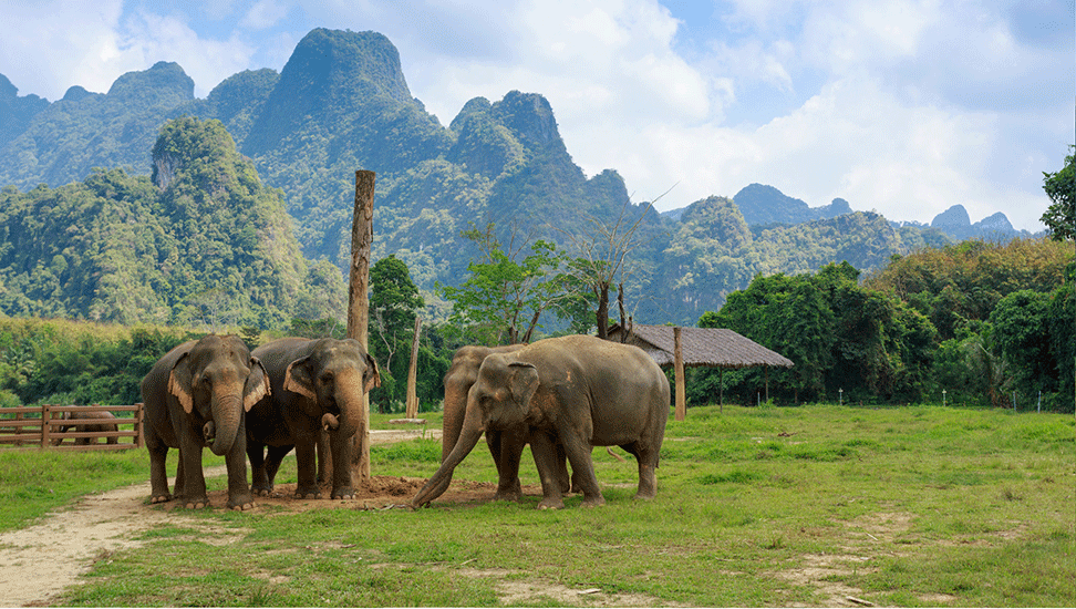 Kuoni-Nachhaltigkeit