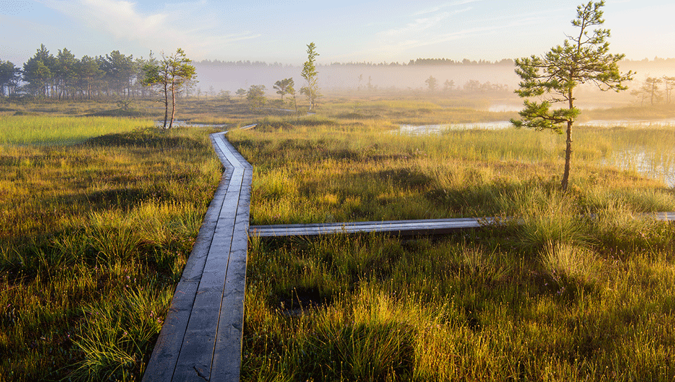 Soomaa-Nationalpark-Bild-Visit-Estonia-Sven-Zacek