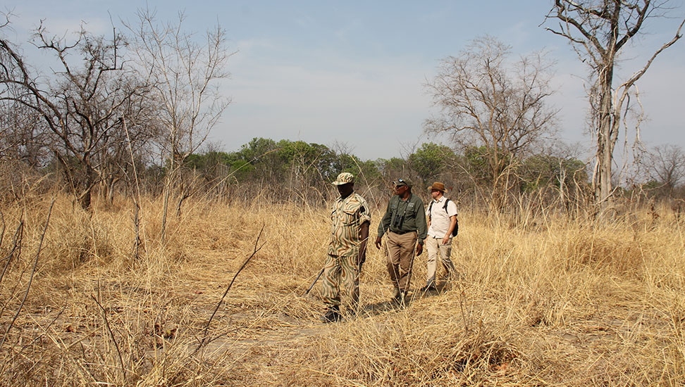 Buschwanderung South Luangwa Nationalpark © Markus Arnold
